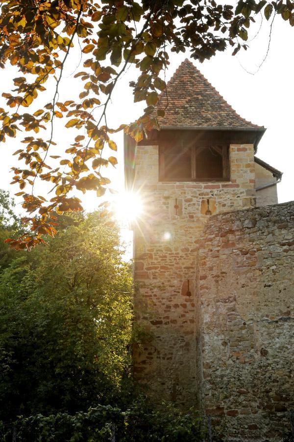 Altstadthof Freinsheim Zewnętrze zdjęcie